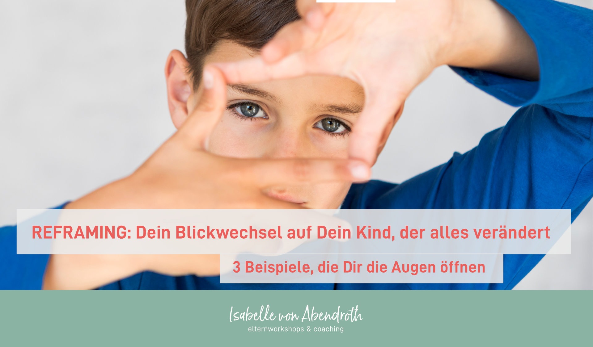 Pinguine streiten sich